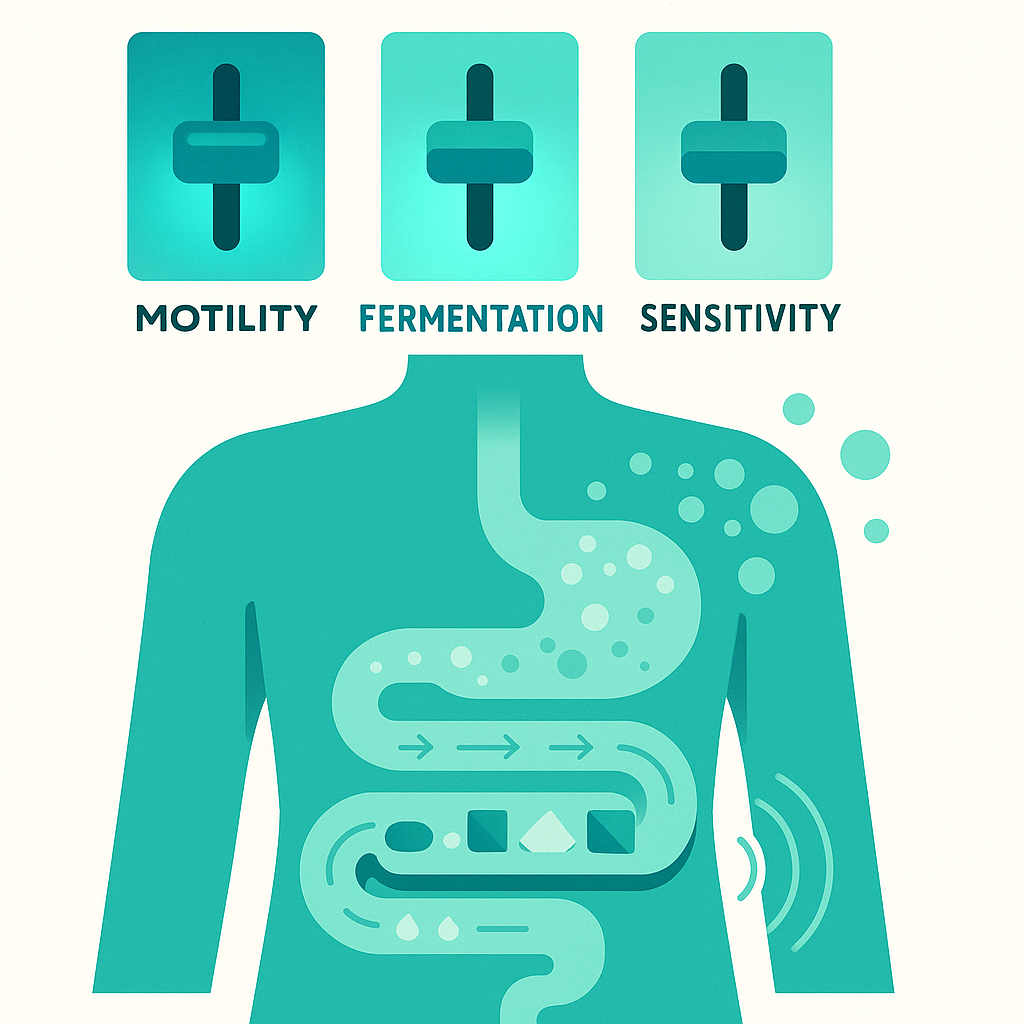 The Three Things Actually Driving Your Symptoms