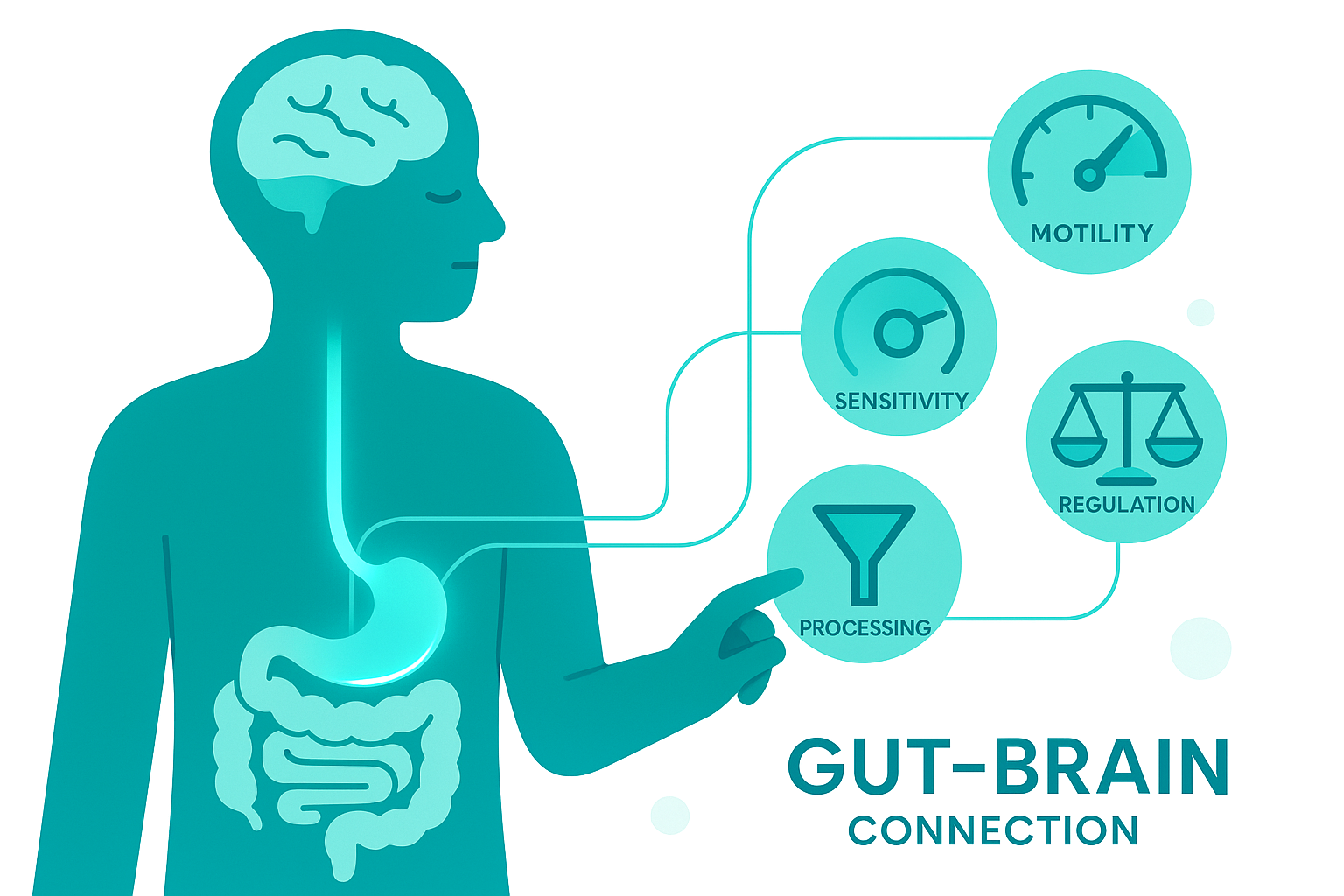 2. How IBS Shows Up in Real Life (And Why Standard Advice Fails)