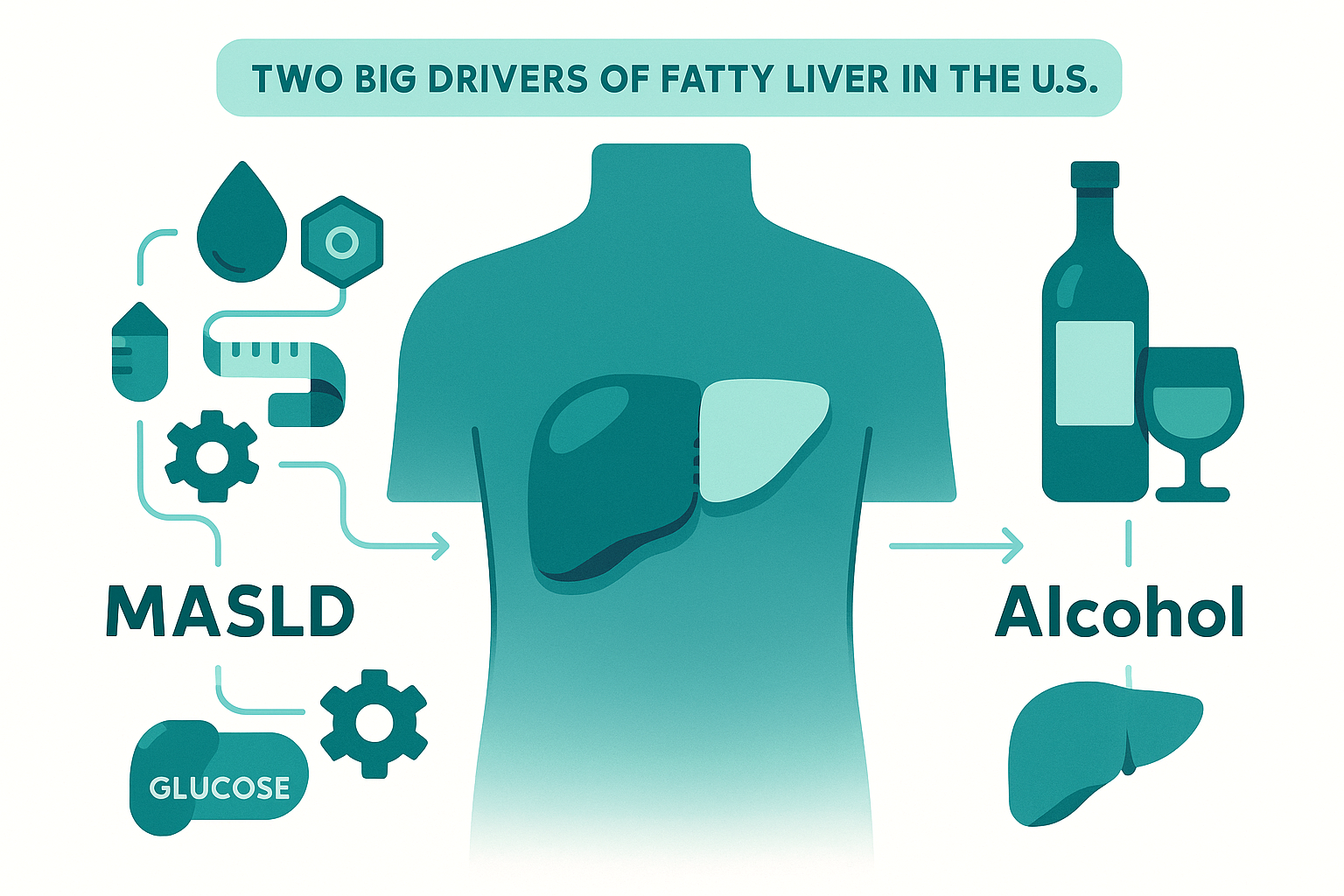 Why Do We Even Care About Fat in the Liver?